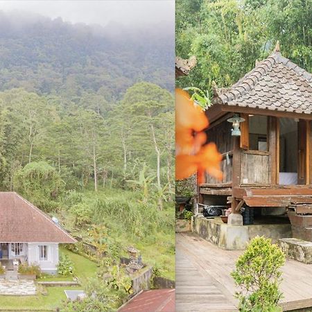 Four Monkeys House Villa เบอดูกูล ภายนอก รูปภาพ
