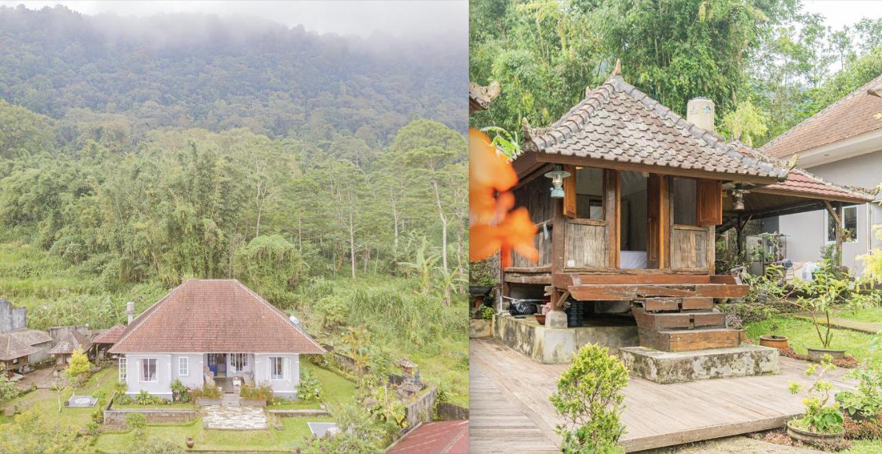 Four Monkeys House Villa เบอดูกูล ภายนอก รูปภาพ