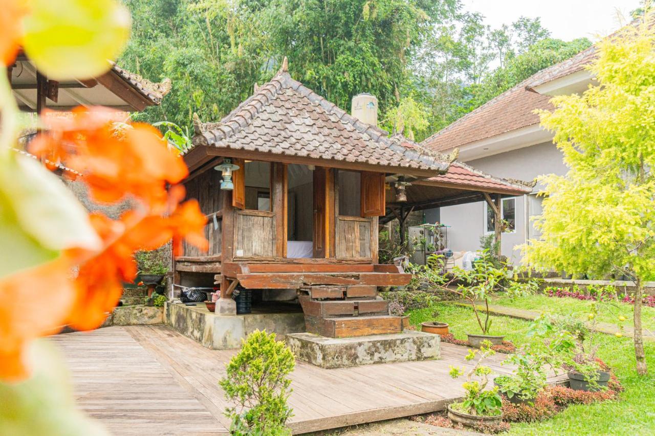 Four Monkeys House Villa เบอดูกูล ภายนอก รูปภาพ