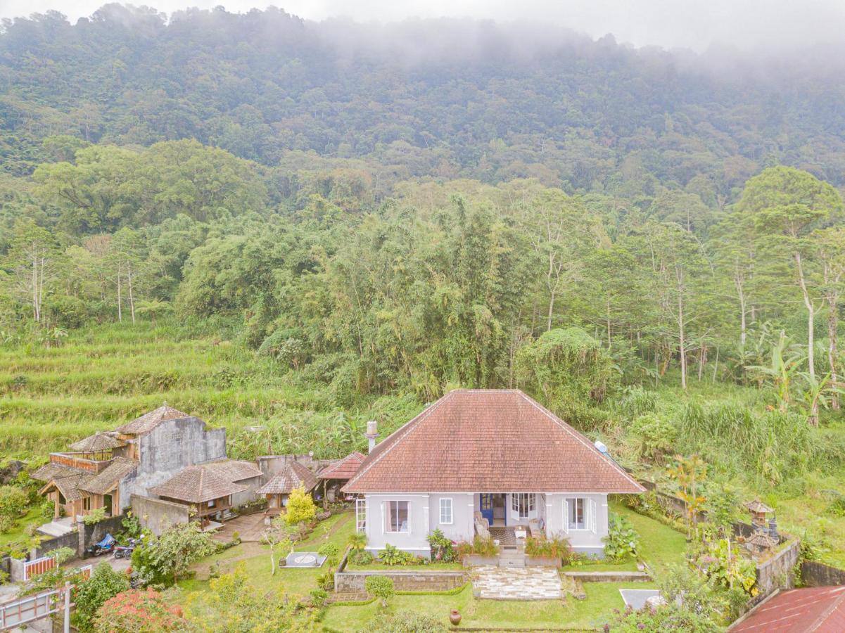 Four Monkeys House Villa เบอดูกูล ภายนอก รูปภาพ